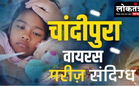 इंदौर चांदीपूरा वायरस का संदिग्ध मरीज  आया सामने खरगोन जिले का रहने वाला है मरिज