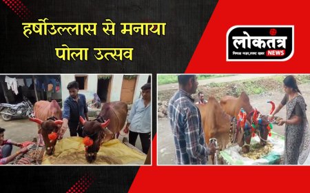 बुरहानपुर हर्षोल्लास के साथ मनाया गया पोला उत्सव