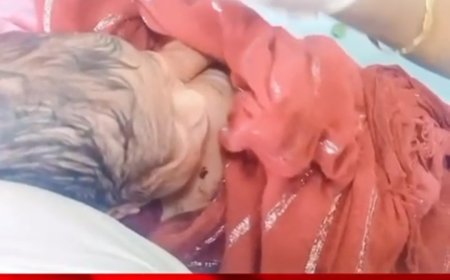 खरगोन मानवता हुई शर्मसार झाड़ियां में मिली एक दिन की नवजात