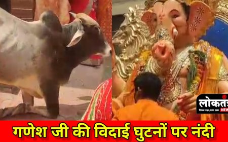 बुरहानपुर गणेश जी की विदाई में घुटनों का बल बैठकर नंदी ने किया नमन वीडियो हो रहा सोशल मीडिया पर खूब वायरल