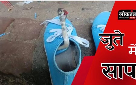 बैतूल जूते में सांप आप भी हो जाइये होशियार