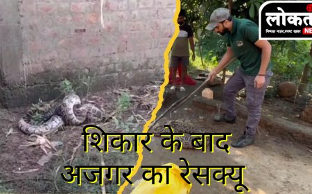 बैतूल शिकार के बाद अजगर के रेस्कयु लोगों की लगी भीड़