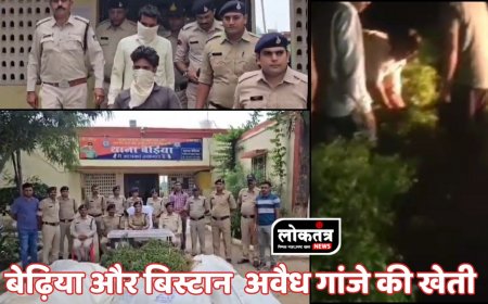 खरगोन अवैध गांजे के खेत पर पुलिस की बड़ी कार्रवाई लाखों के गांजे के