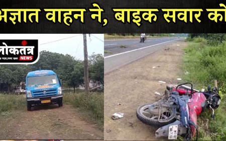 धामनोद अज्ञात वाहन की टक्कर भाई बहनों की मौत  देखिए कहां की है घटना कौन है मृतक