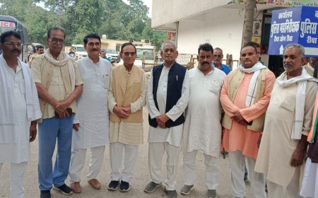 रीवा गैंग रेप मामले पर कांग्रेस ने सौपा ज्ञापन नशाखोरी को लेकर खड़े किए सवाल