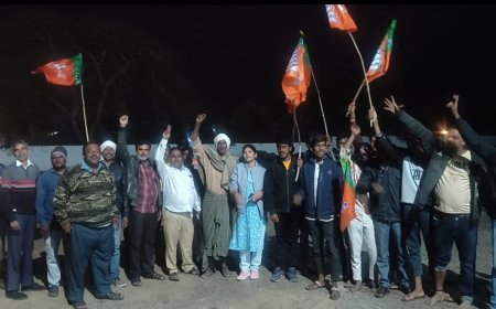 निवाली तहसील के 17 गांव को माइक्रो उदवहन योजना से जोड़ने पर मनाया गया जश्न