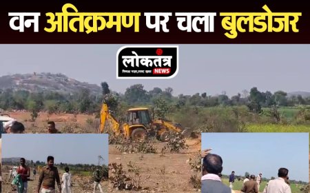 टीकमगढ़ वन विभाग की बुलडोजर कारवाई से मचा हड़कंप