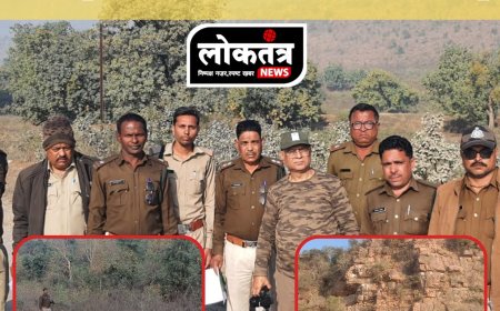 कटनी विलुप्त गिद्धों को बचाने के कवायद, वन विभाग कर रहा है गिद्धों की गणना