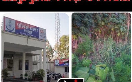 शाहपुर पुलिस द्वारा अवैध मादक पदार्थ के विरुद्द निरंतर कार्यवाही लगभग 15,000/- रुपये मूल्य का अवैध मादक पदार्थ गांजा के हरे पौधे जप्त