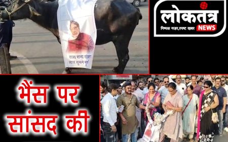 कटनी बयान का विरोध भेस पर निकाली सांसद की बारात फूंका पुतला