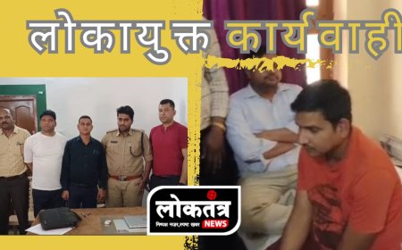 धार/टीकमगढ़ में रिश्वतखोरी का मामला... लोकायुक्त ने किया ट्रेप... रेंजर और खाद्य इंस्पेक्टर  गिरफ्तार