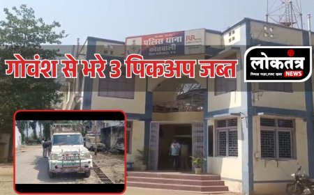 अलीराजपुर: गौवंश से भरी पिकअप ने खोला तस्करी का राज, पुलिस ने दबोचे 3 आरोपी