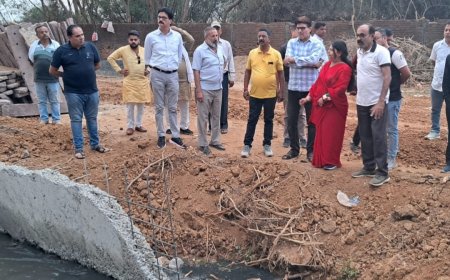 कटनी- नाला बन्द कर काट दी कॉलोनी, महापौर ने कार्यवाही कर दिए एफआईआर के निर्देश