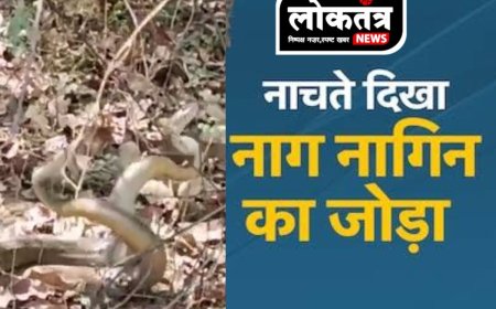 Burhanpur- नाग नागिन के जोड़े का डांस