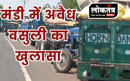 सिरोंज - सरकारी खरीद केंद्र पर सर्वेयर कर रहा अवैध वसूली..वीडियो वायरल होने पर मचा हड़कंप