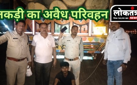 टीकमगढ़- लकड़ी का अवैध परिवहन, ट्रक सहित बड़ी मात्रा में लकड़ी जब्त