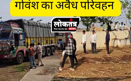 सेंधवा  गो वंश का अवैध परिवहन करते ट्रक जप्त 55 गोवंश छुड़वाए