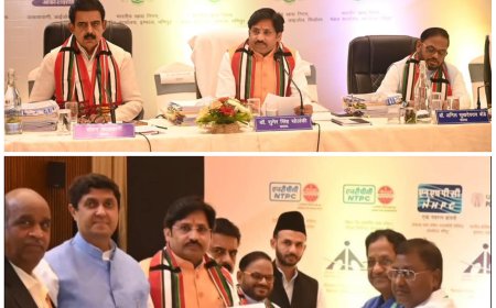 भारत के पूर्वोत्तर राज्यों में हिन्दी भाषा विकास का निरीक्षण करेंगे डॉ. सुमेर सोलंकी