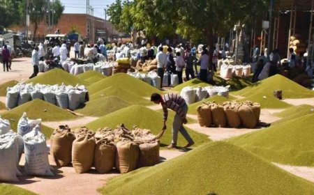 मूंग खरीदी को लेकर किसान आंदोलित, सरकार के खिलाफ प्रदर्शन की चेतावनी