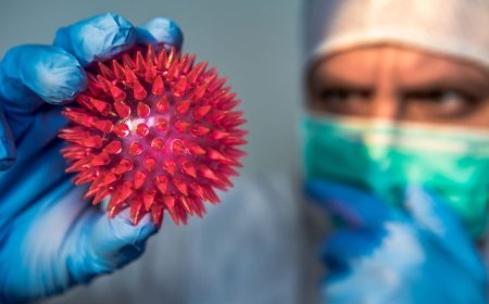 मध्यप्रदेश में कोरोना के केस फिर बढ़ने लगे सरकार की लापरवाही पर सवाल