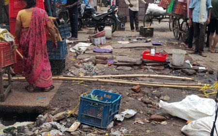 रीवा: अस्पताल चौराहे पर नगर निगम की कार्रवाई, अतिक्रमण हटाया गया, फैली गंदगी भी साफ