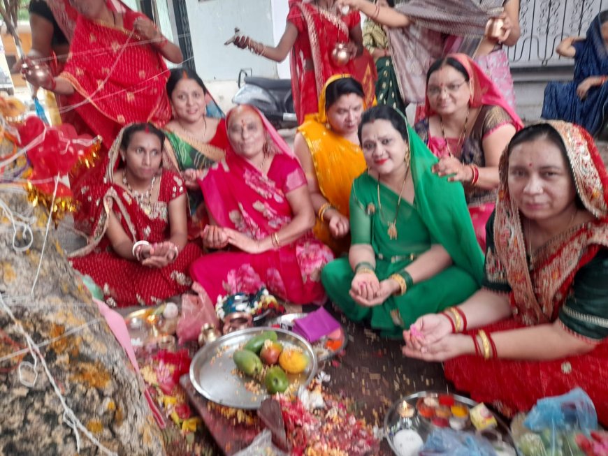 सेगांव:- सुहागिनों ने पति की लंबी आयु के लिए किया वट सावित्री व्रत, बरगद के पेड़ का पूजन