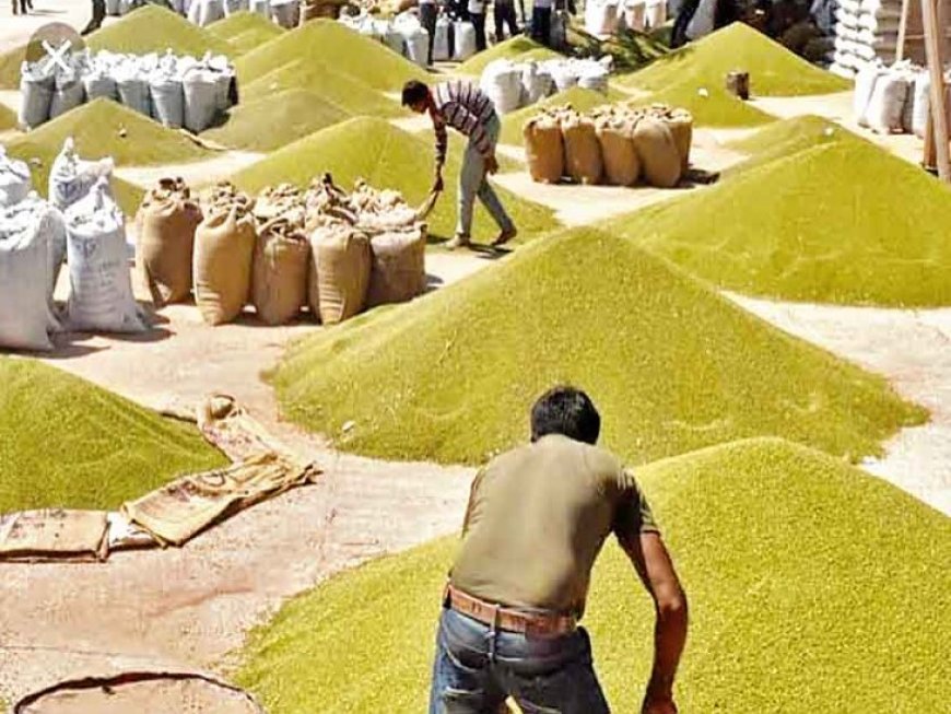 मूंग खरीदी की घोषणा पर उमंग सिंघार का बड़ा बयान किसानों की एकजुटता और कांग्रेस के संघर्ष के आगे सरकार झुकी