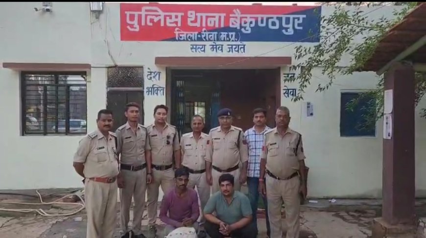 रीवा दो गांजा तस्कर गिरफ्तार 4 किलो गांजा जप्त
