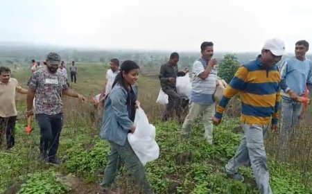 बुरहानपुर में बीजारोपण अभियान, कलेक्टर सहित अधिकारियों ने पहाड़ी पर डाले पलाश के बीज