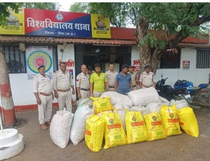 31 लाख के गांजे के साथ दो ट्रक जब्त, चालक गिरफ्तार, तस्कर फरार