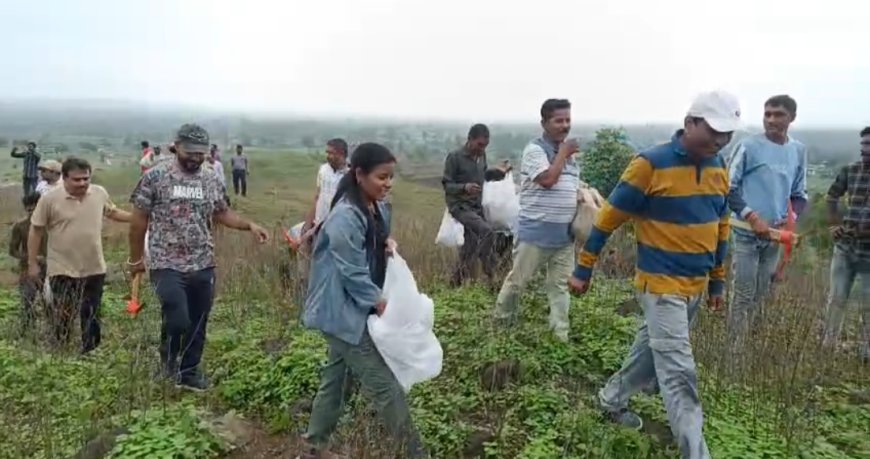 बुरहानपुर में बीजारोपण अभियान, कलेक्टर सहित अधिकारियों ने पहाड़ी पर डाले पलाश के बीज