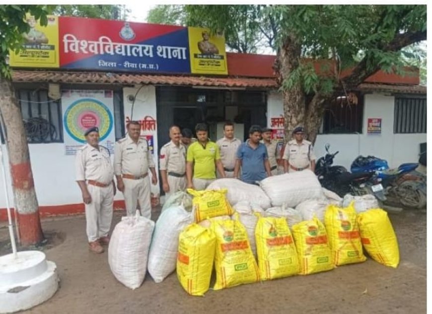 31 लाख के गांजे के साथ दो ट्रक जब्त, चालक गिरफ्तार, तस्कर फरार