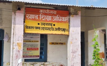 अलीराजपुर शिक्षा विभाग में बड़ा घोटाला: तीन अधिकारी निलंबित, एक करोड़ से अधिक की वित्तीय अनियमितता उजागर
