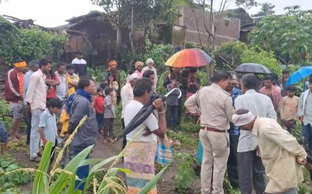 बिजासन : राजमली गांव में जंगली जानवर ने मचाया आतंक, खेत में घुसकर किया बकरियों का शिकार