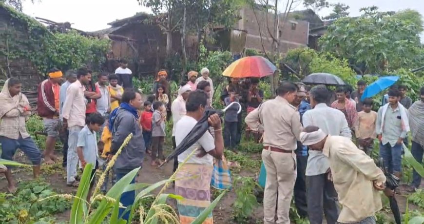 बिजासन : राजमली गांव में जंगली जानवर ने मचाया आतंक, खेत में घुसकर किया बकरियों का शिकार