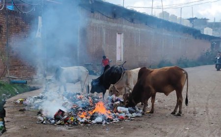 आरोन  नगर में गंदगी का भरमार नगर परिषद पर खड़े हो रहे सवाल
