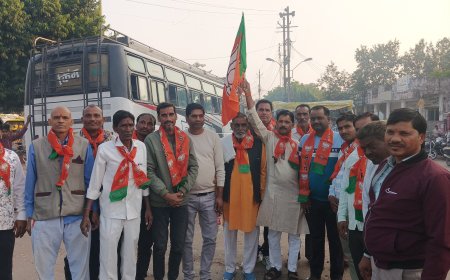 बिहार में एनडीए की जीत पर पलेरा में भाजपा कार्यकर्ताओं का जश्न