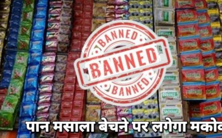 महाराष्ट्र में गुटखा–पान मसाला बेचने वालों पर अब लगेगा MCOCA, अवैध व्यापार रोकने के लिए सरकार का बड़ा फैसला सीमावर्ती जिलों में रखी जाएगी विशेष निगरानी