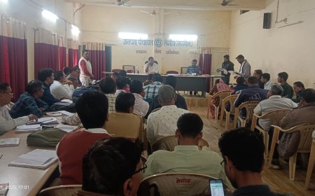 जिला पंचायत सीईओ ने किया औचक निरीक्षण