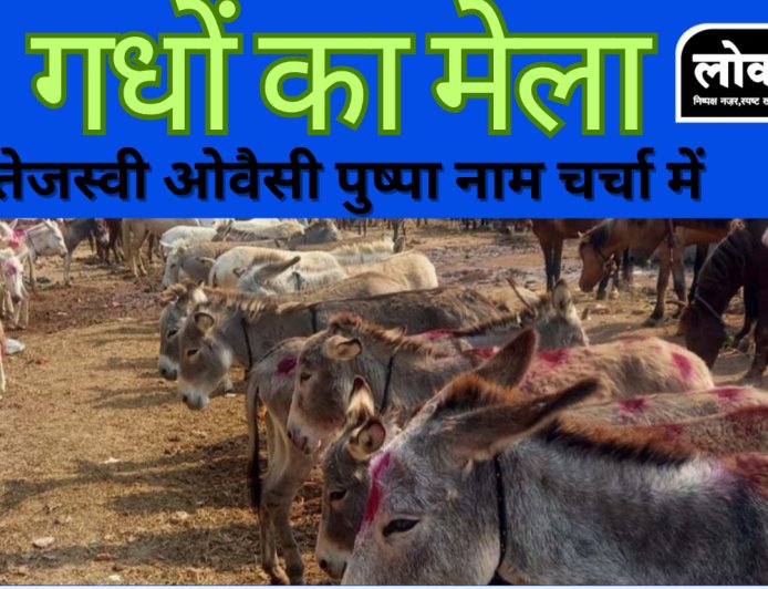 उज्जैन में लगा अनोखा गधों का मेला, तेजस्वी ‘ओवैसी’ और ‘पुष्पा’ नाम के गधों ने खींचा लोगों का ध्यान