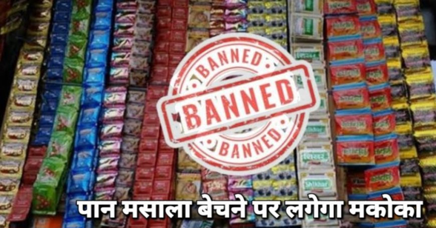 महाराष्ट्र में गुटखा–पान मसाला बेचने वालों पर अब लगेगा MCOCA, अवैध व्यापार रोकने के लिए सरकार का बड़ा फैसला सीमावर्ती जिलों में रखी जाएगी विशेष निगरानी