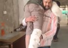 इंदौर में अनोखी पेशी: हत्या आरोपी को कंधे पर उठाकर मजिस्ट्रेट के सामने लाए पुलिसकर्मी