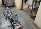 बड़वानी साईं धाम कॉलोनी में दर्दनाक हादसा: पानी के होज में गिरने से 30 वर्षीय महिला की मौत