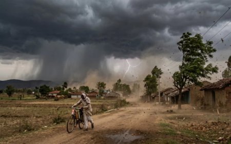 MP Monsoon Update: मध्य प्रदेश में प्री-मानसून का असर; झमाझम बारिश से लुढ़का पारा, 50 जिलों में येलो अलर्ट