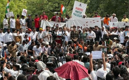 CJP Protest Jantar Mantar: कॉकरोच जनता पार्टी के प्रदर्शन में शामिल हुए सोनम वांगचुक; जानें क्या हैं इनकी मुख्य माँगें