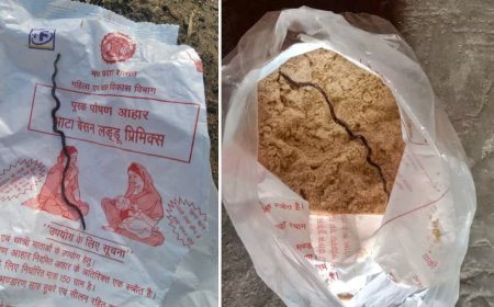 पांढुर्णा में बड़ी लापरवाही: आंगनवाड़ी के पोषण आहार पैकेट में निकला मरा हुआ सांप, मचा हड़कंप