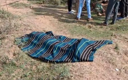 टीकमगढ़ में डबल मर्डर से सनसनी: खेत पर सो रहे बुजुर्ग दंपत्ति की कुल्हाड़ी और लाठी-डंडों से पीटकर हत्या
