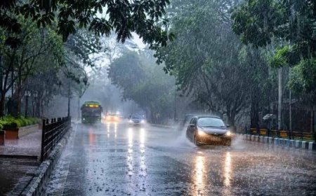 MP Weather Update: भीषण गर्मी से मिलेगी राहत, प्रदेश के इन जिलों में गरज-चमक के साथ बारिश के आसार