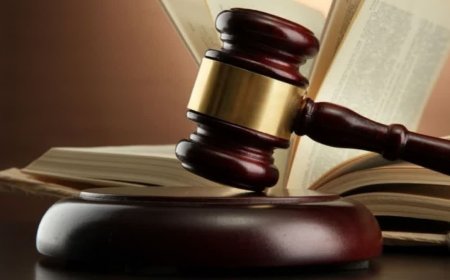जबलपुर हाईकोर्ट का अहम फैसला: हिरण शिकार मामले में आरोपी को मिली जमानत, FSL रिपोर्ट रही आधार