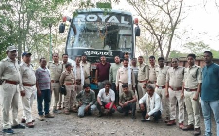 बुरहानपुर: यात्री बस में हो रही थी सलाई गोंद की तस्करी, वन विभाग ने 782 किलो गोंद के साथ बस को पकड़ा
